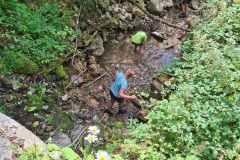 IMG-9ad5c72c8bea151d33fdc1e635a90e50-V